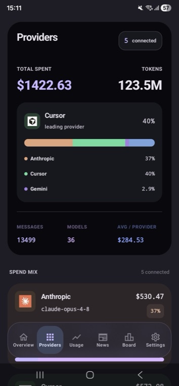 Providers: total spent, spend mix across Anthropic, Cursor and Gemini, plus per-model breakdown